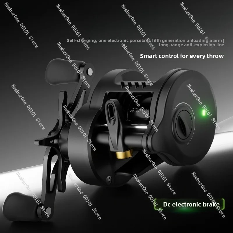 Electronic Magnetic Brake Fish - Baitcasting Reel review and price