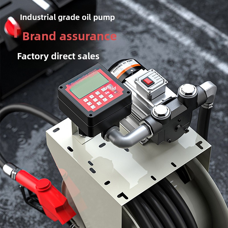 Dulan Integrated Oil Pump 12v2 - Reel Oil review and price